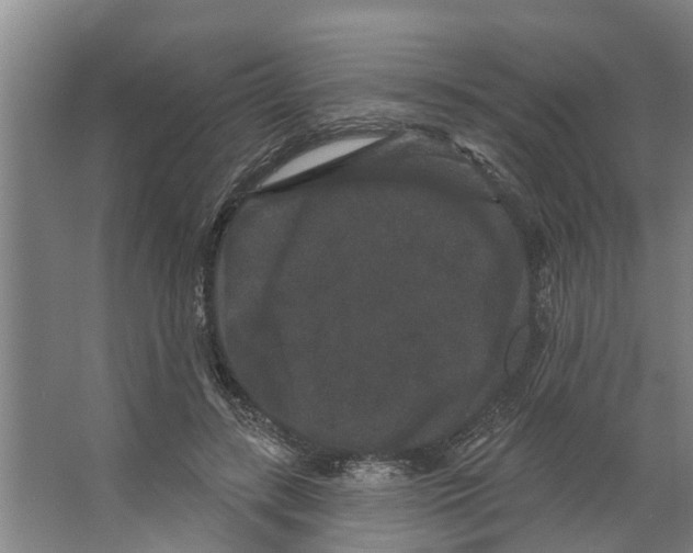 X0000066530547200604141842