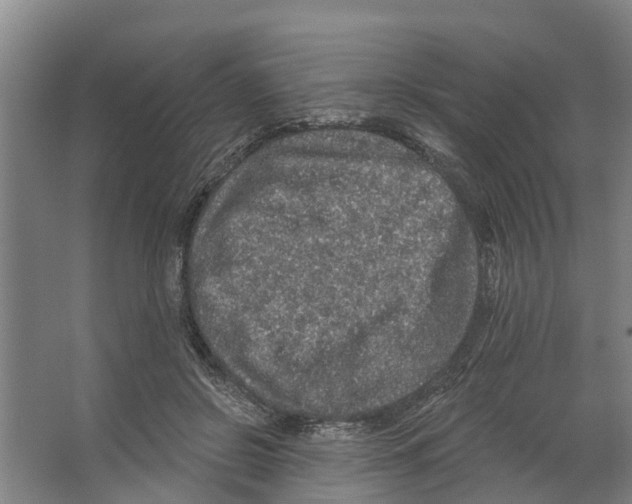 X0000066530550200604141842