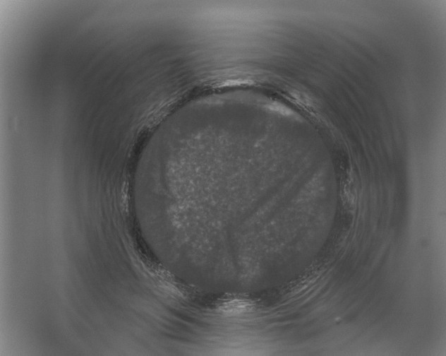 X0000066530551200604141842