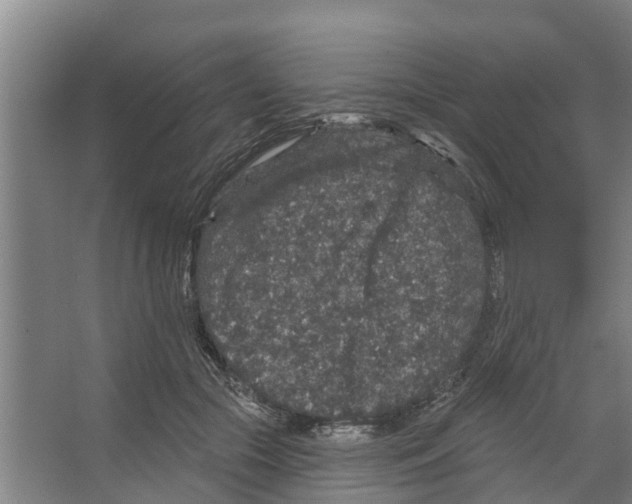 X0000066530553200604141842