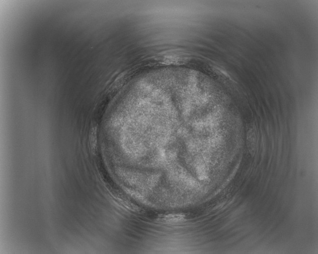 X0000066530554200604141842