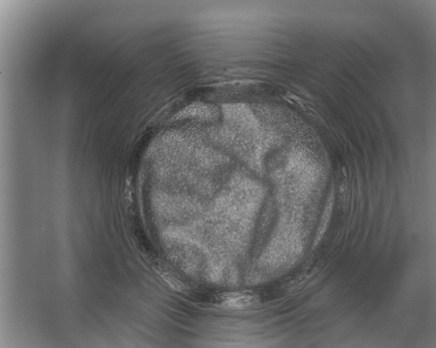 X0000066530555200604141842