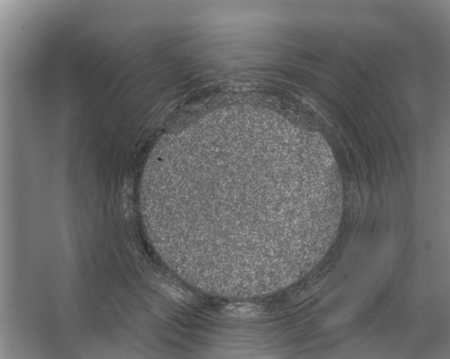 X0000066530557200604141842