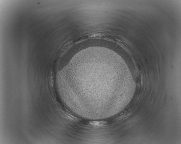 X0000066530558200604141842