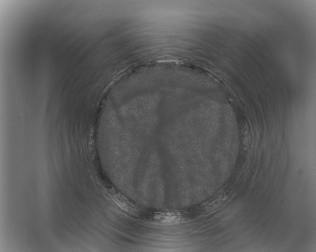 X0000066530559200604141842