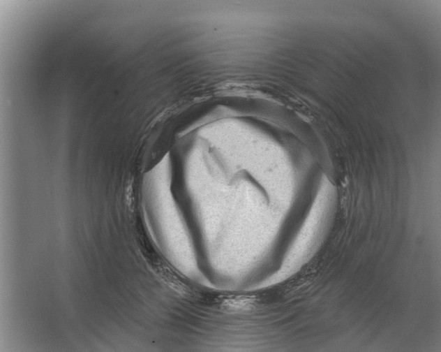 X0000066530560200604141842