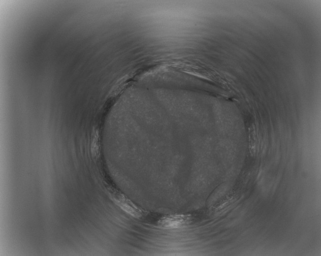 X0000066530563200604141842