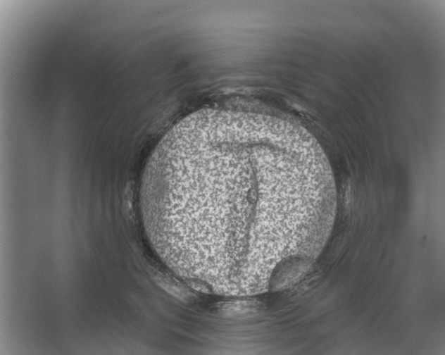 X0000066530567200604141843