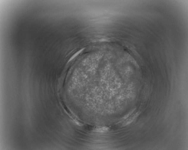 X0000066530576200604141843