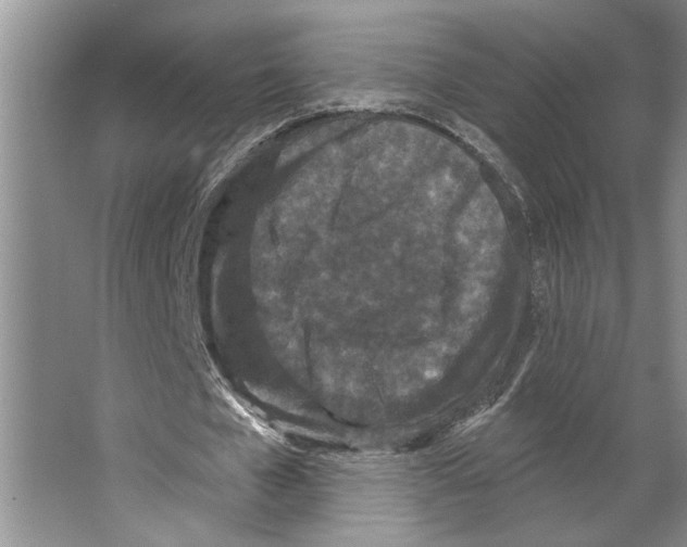 X0000066530577200604141842