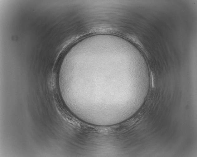 X0000066530579200604141842