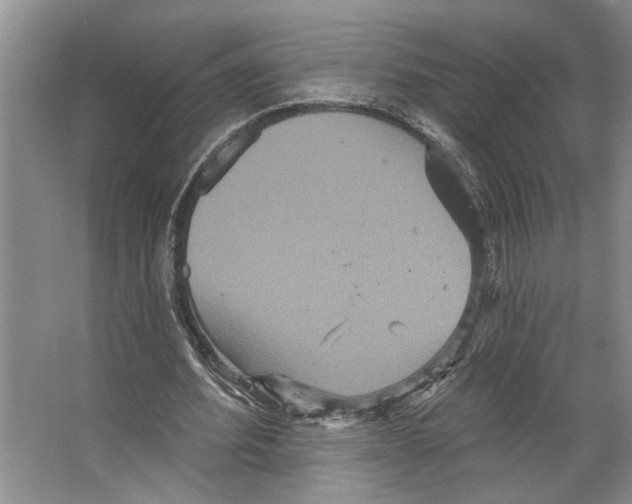 X0000066530580200604141842