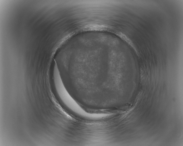 X0000066530581200604141842