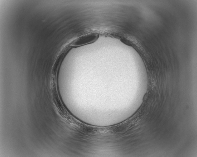 X0000066530583200604141842