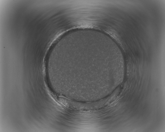 X0000066530584200604141842