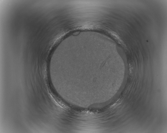 X0000066530588200604141842