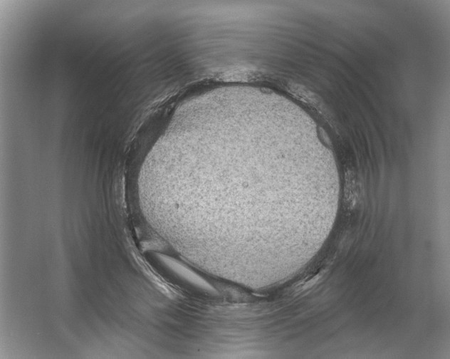 X0000066530589200604141842