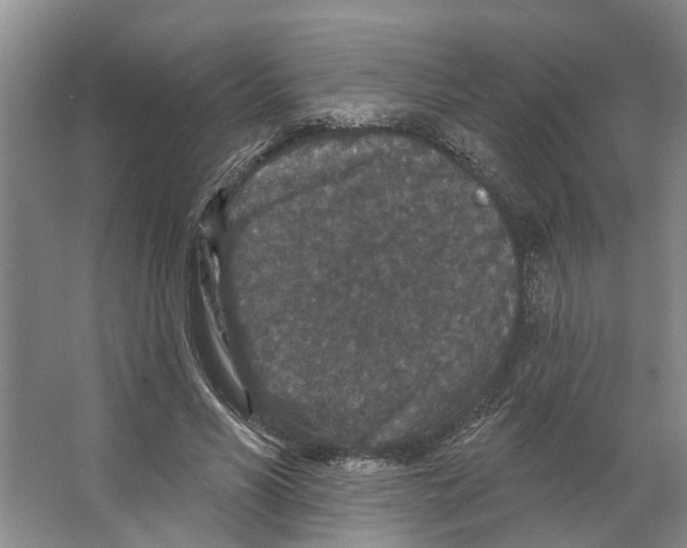 X0000066530590200604141842