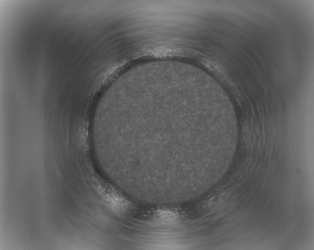 X0000066530592200604141842