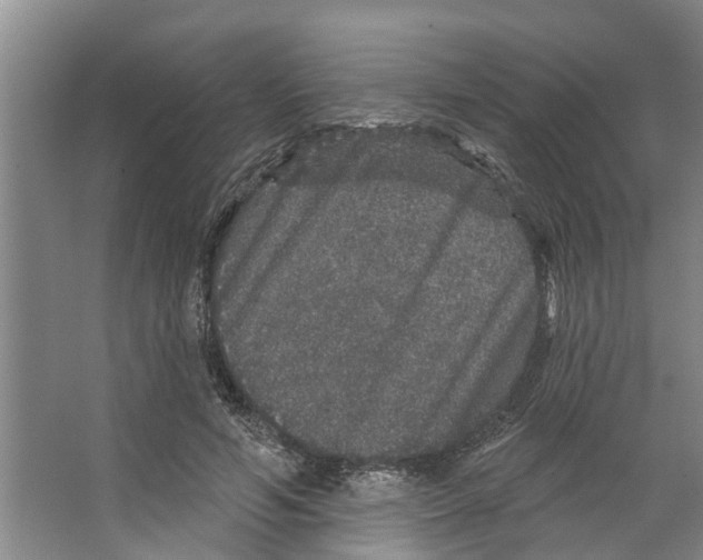 X0000066530594200604141842