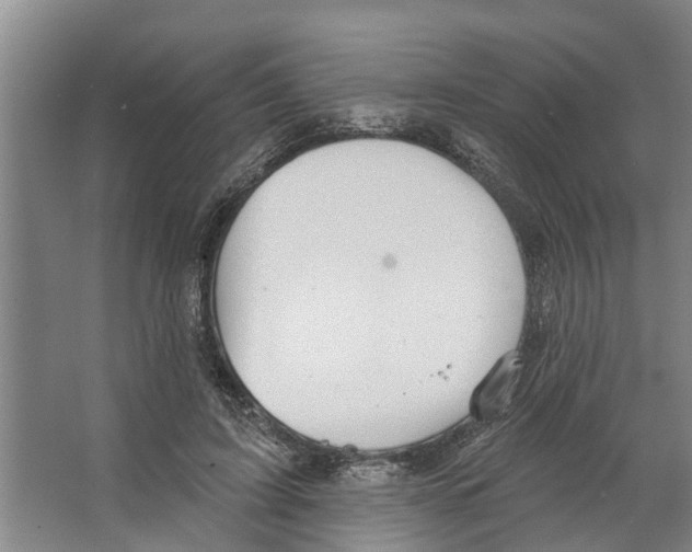 X0000066530595200604141842