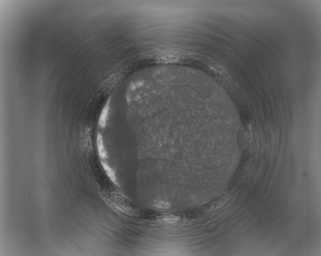 X0000066530598200604141842