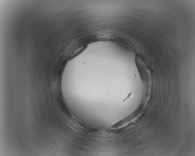 X0000066530601200604141841