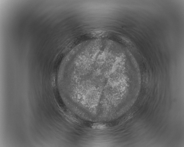 X0000066530602200604141841