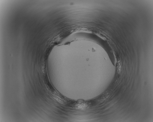 X0000066530604200604141841