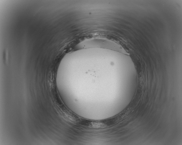 X0000066530605200604141841