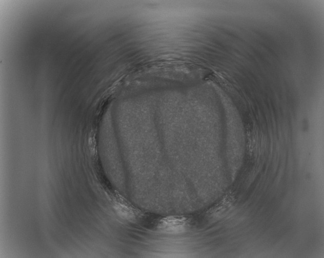 X0000066530606200604141841