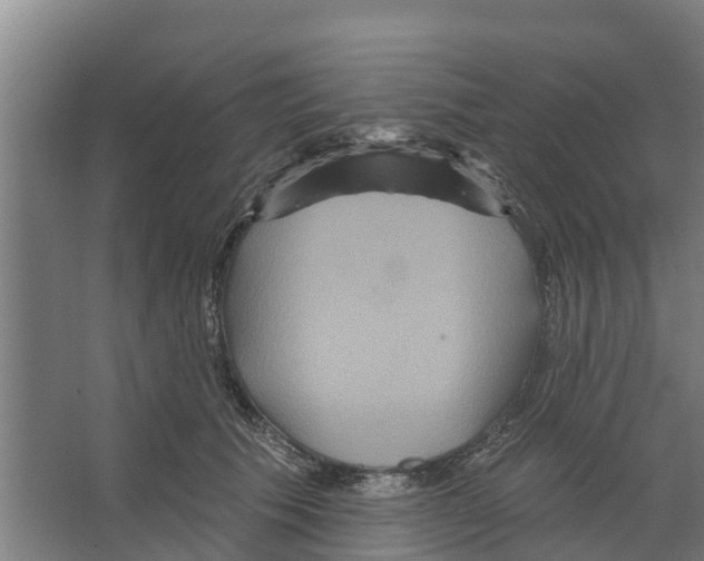 X0000066530609200604141841