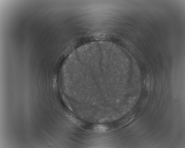 X0000066530610200604141841