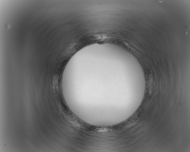 X0000066530611200604141841