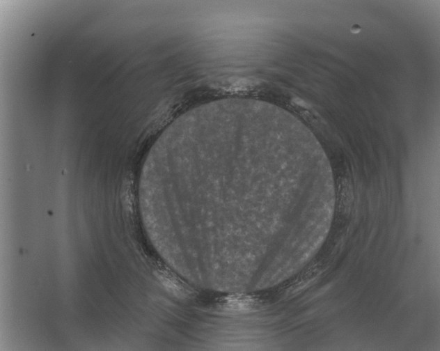 X0000066530612200604141841