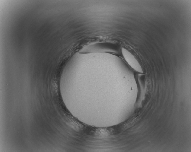 X0000066530613200604141841