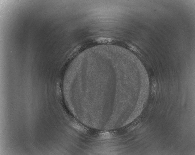 X0000066530616200604141841