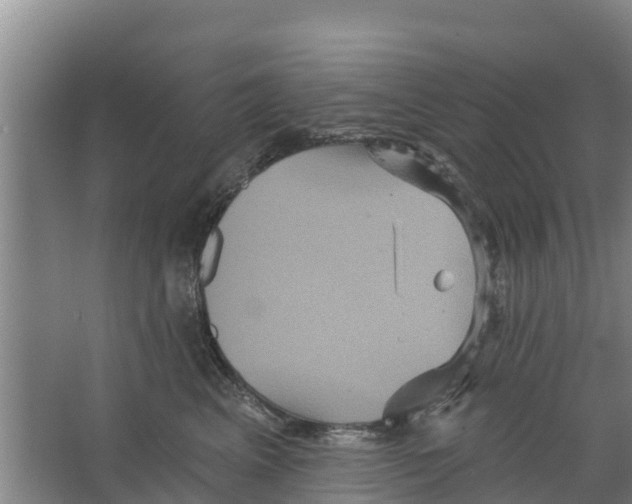 X0000066530617200604141841