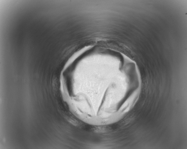 X0000066530623200604141841