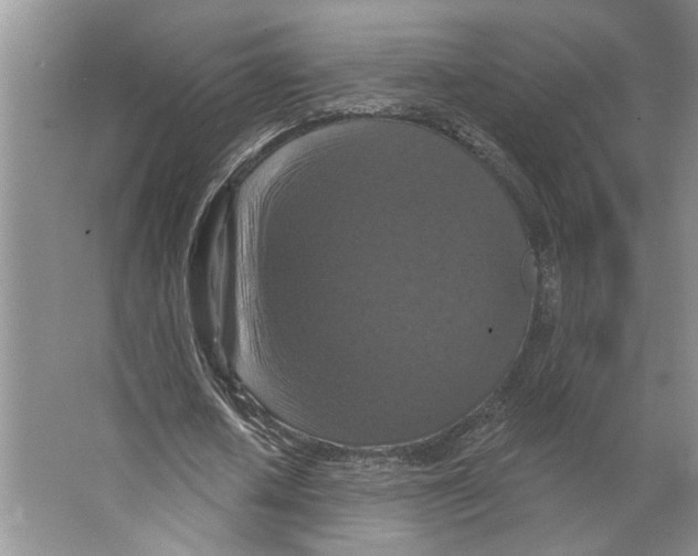 X0000066530626200604141840