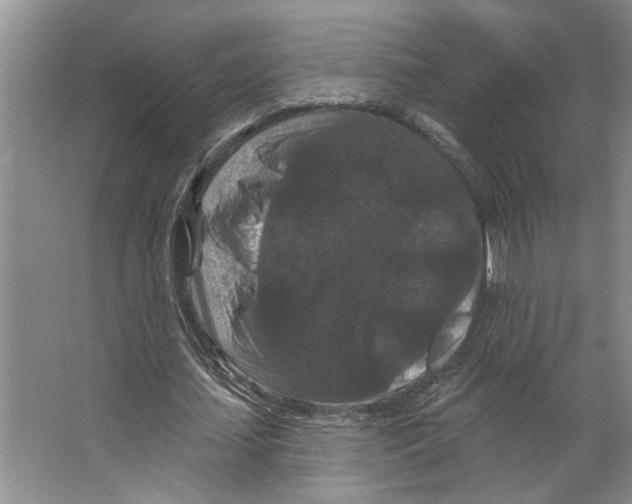 X0000066530627200604141840