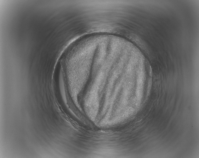 X0000066530628200604141840