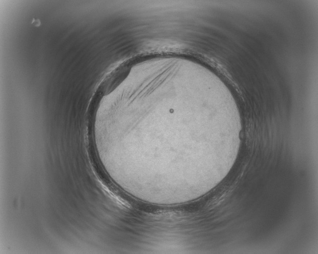 X0000066530629200604141840