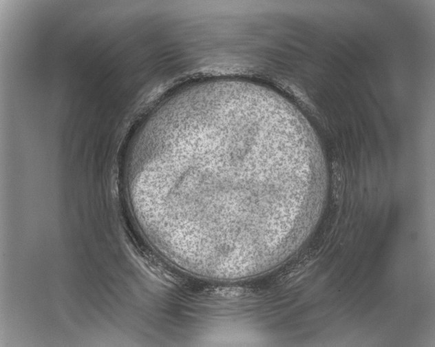 X0000066530631200604141840