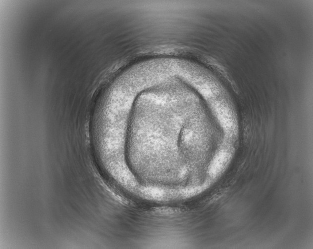 X0000066530633200604141840