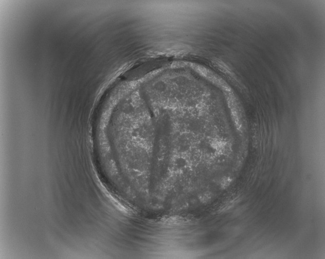 X0000066530634200604141840