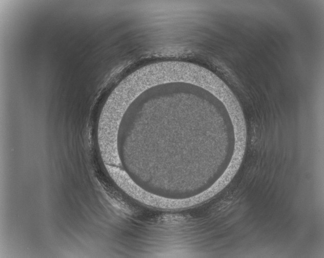 X0000066530636200604141840