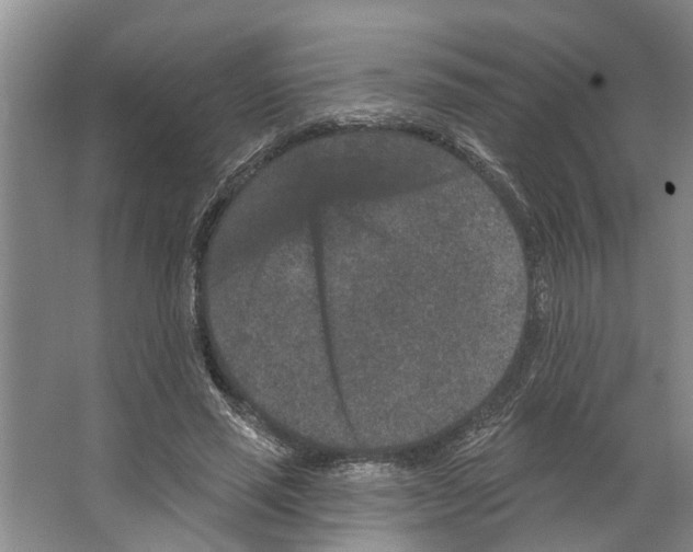 X0000066530637200604141840