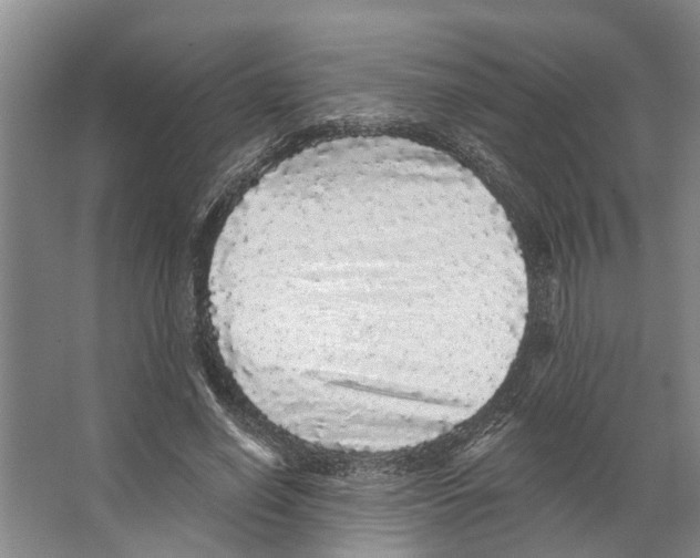 X0000066530638200604141841