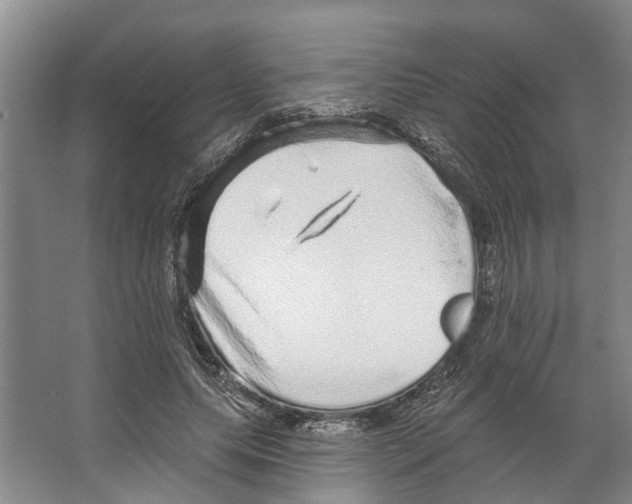 X0000066530639200604141841